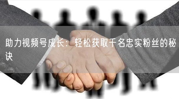 助力视频号成长:轻松获取千名忠实粉丝的秘诀