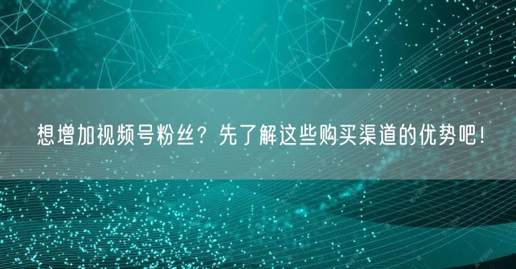 想增加视频号粉丝?先了解这些购买渠道的优势吧!