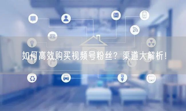 如何高效购买视频号粉丝?渠道大解析!