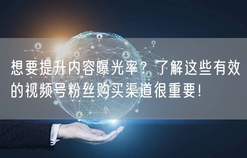 想要提升内容曝光率?了解这些有效的视频号粉丝购买渠道很重要!