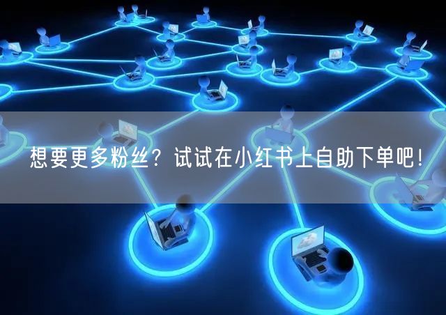 想要更多粉丝?试试在小红书上自助下单吧!