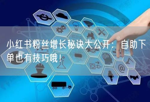 小红书粉丝增长秘诀大公开:自助下单也有技巧哦!