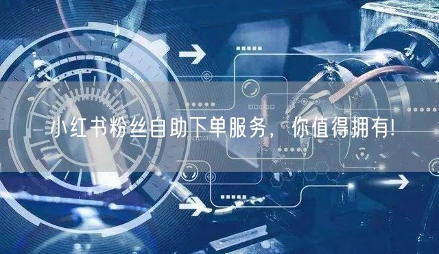 小红书粉丝自助下单服务,你值得拥有!