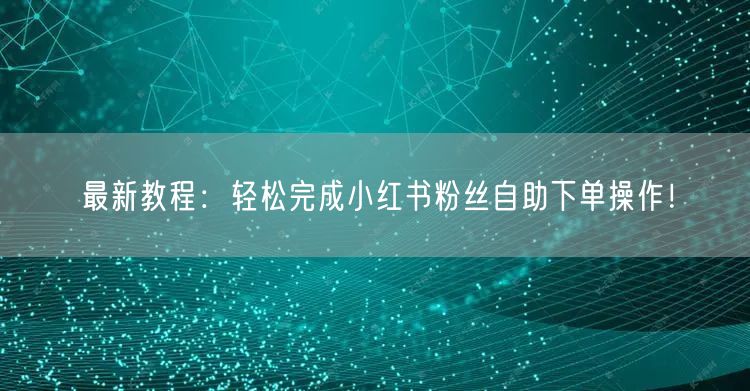最新教程:轻松完成小红书粉丝自助下单操作!