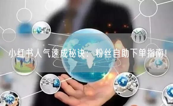 小红书人气速成秘诀:粉丝自助下单指南!